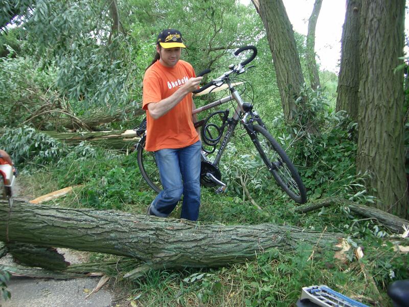 Fahrrad-tragend